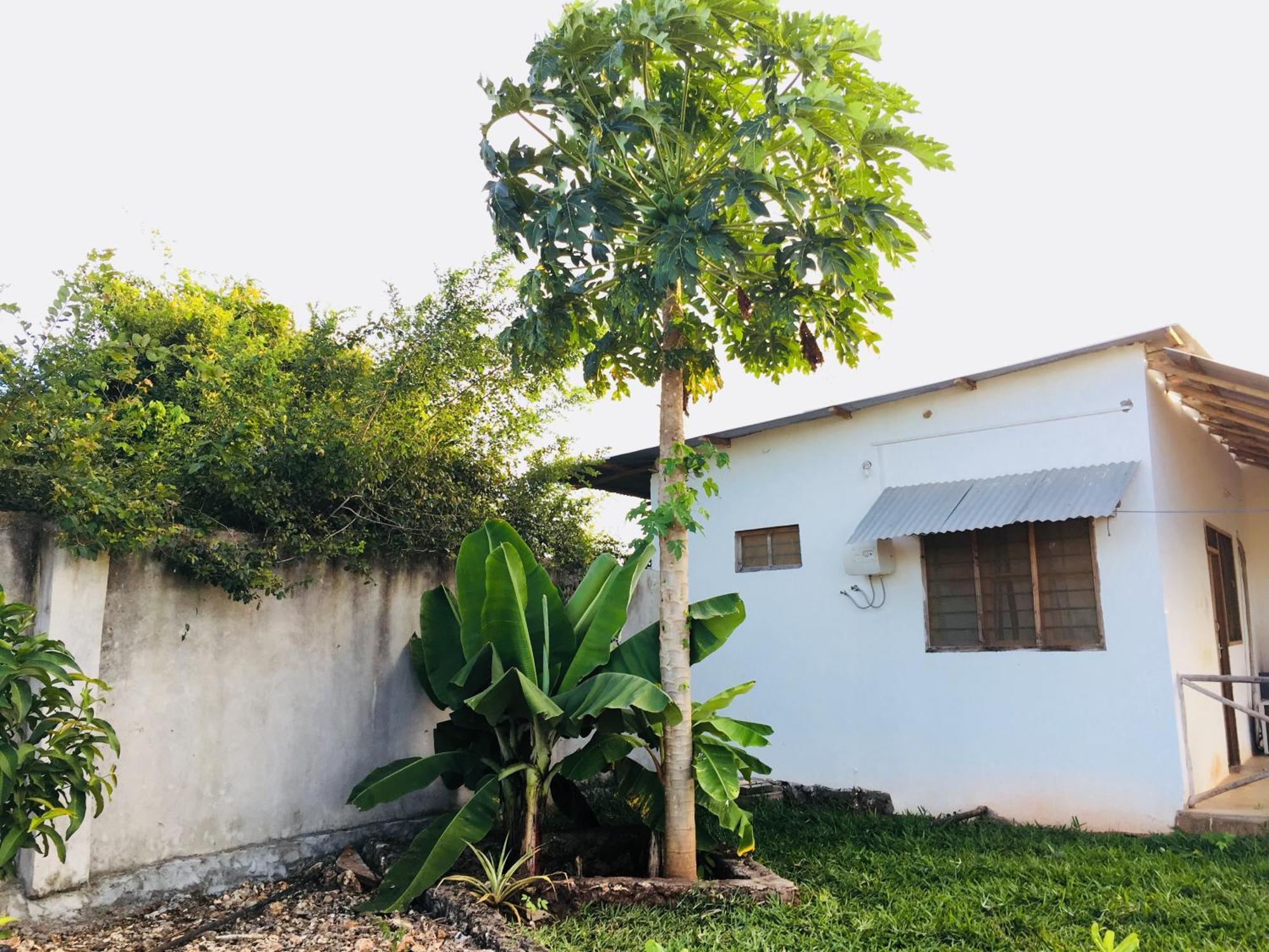 Apartmán Modern Flats - Wambaa Garden Kendwa